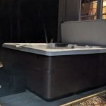 Nature-Inspired Bullfrog Spa Installation