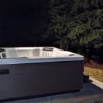 Nature-Inspired Bullfrog Spa Installation 1