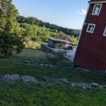 Bullfrog Spa Installation for a Peaceful Backyard Escape 5